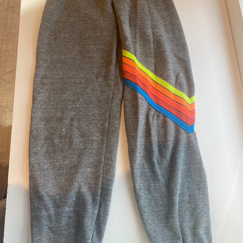 Aviator Nation Grey & Neon Stripe Sweatpants